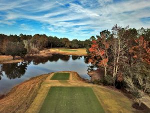 Fallen Oak 8th Aerial Tee